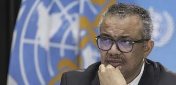 WHO leader heads to Canaries over hantavirus ship