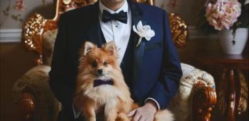 £60,000 dog companion job with cottage sparks online buzz
