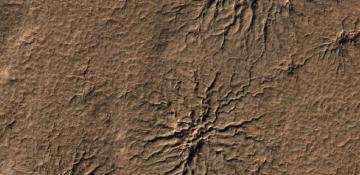 Curiosity rover captures strange spiderweb-like formations on Mars