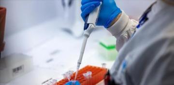 WHO says cruise hantavirus outbreak risk is low