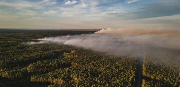 300-hectare blaze prompts Poland to step up firefighting efforts