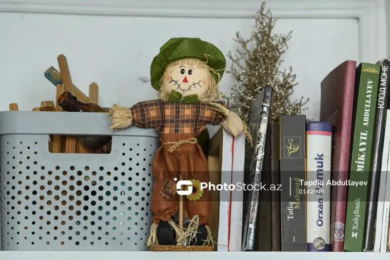 News about - Meet the artist bringing dolls to life with retro nostalgia -  PHOTOS 
