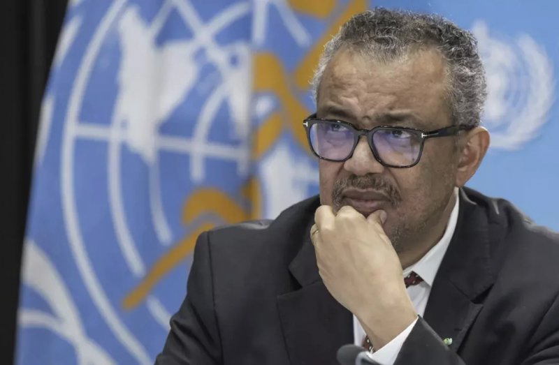 WHO leader heads to Canaries over hantavirus ship