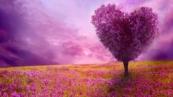Your love horoscope for May 7: What the stars say about your relationships today - READ YOURS