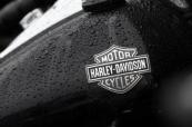 Harley-davidson recalls 88,000 motorcycles over engine issue