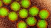 Polio strain detected in Australia's Perth for first time in 54 years