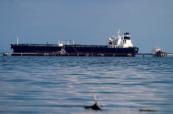 Venezuela sees 7-year high in oil exports amid US, India demand