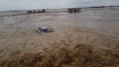 7 killed as heavy rains lash Algeria 