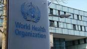 Hantavirus on a cruise? WHO investigates rare ship outbreak