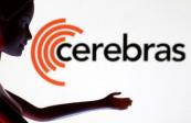 AI chipmaker Cerebras targets $115-$125 share price in US IPO, source says 