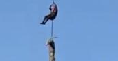 Police officer dangling from helicopter retrieves man-eating crocodile -  VIDEO 