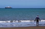 What is the “deadly rodent virus” that disrupted a cruise ship?