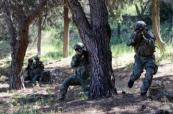 Azerbaijan troops join EFES-2026 drills in Türkiye -  VIDEO 