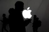 Apple to invest Rs 100 crore in India green energy push