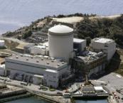 Steam leak halts nuclear reactor in central Japan