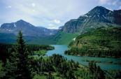 Missing hiker found dead after suspected bear attack in Montana