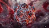 New suspected hantavirus cases emerge