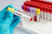 Sri Lanka sees rise in dengue cases amid monsoon fears