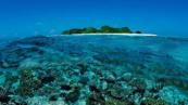 Five Italians die during cave dive in Maldives 