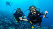 What happened in the Maldives scuba diving tragedy?