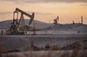 Oil set for weekly gain as Hormuz crisis drags on