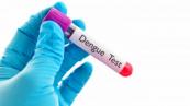 Singapore reports steep decline in dengue cases