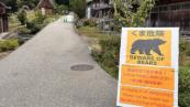 Bear attack injures hiker in western Tokyo's Okutama