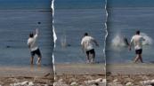 Washington man faces jail for throwing rock at Hawaiian monk seal