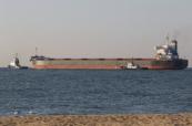 Kyiv claims Russia targeted Chinese merchant vessel in Ukrainian waters