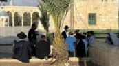 Israeli settlers storm Al-Aqsa Mosque under troop guard