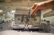 US dollar hits six-week high on rate hike bets, war fears