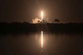 SpaceX expands Starlink constellation with 29 new satellites -  VIDEO 