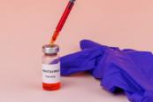 EU boosts efforts on hantavirus vaccines