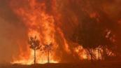 Sánchez announces Spain’s biggest-ever forest fire campaign