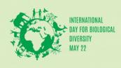 International Day for Biological Diversity highlights need to protect nature