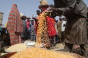 UN warns millions in Nigeria face severe hunger crisis