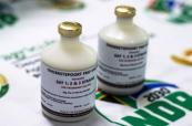South Africa receives 3.5 mln doses of FMD vaccine from Argentina to curb outbreak 