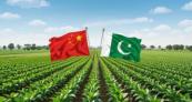 China to boost support for Pakistan’s agriculture and expand market access for exports 