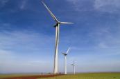 How sustainability can emerge stronger from the ESG pushback 