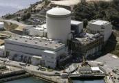 Steam leak halts nuclear reactor in central Japan
