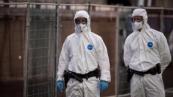 France quarantines hantavirus contacts in Paris after repatriation