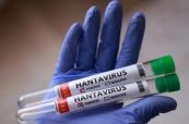 Argentina slams WHO for politicizing hantavirus outbreak