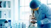 China and Russia expand healthcare cooperation in cancer and medical research