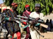 Armed bandits massacre 10 rural farmers in northwest Nigeria