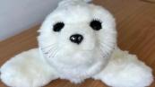Robotic seal Sammy to help mental health patients in Kent