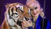 Tiger shot after attack near Leipzig