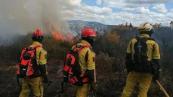 Portugal leads European wildfire response exercise with international teams -  VIDEO 