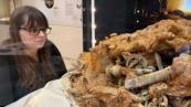 Metal detectorist may have uncovered belongings of Iron Age queen in Melsonby hoard