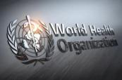 Pathogen-sharing conflict causes WHO to delay pandemic treaty