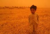 Sandstorm sweeps across Iraq leaving hundreds with breathing problems